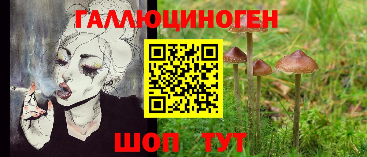 Галлюциногенные грибы Psilocybine cubensis  Вход с VPN  Малоярославец 